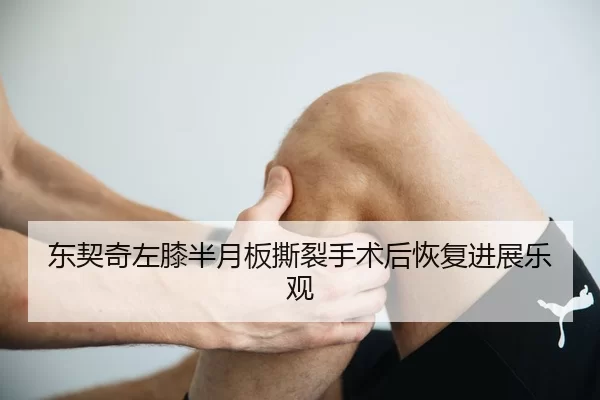 dong-qi-qi-zuo-xi-ban-yue-ban-si-lie-shou-shu-hou-hui-fu-jin-zhan-le-guan-2-509.jpg