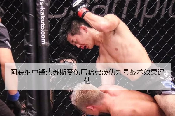 a-sen-na-zhong-feng-re-su-si-shou-shang-hou-ha-fu-ci-wei-jiu-hao-zhan-shu-xiao-guo-ping-gu-2-679.jpg