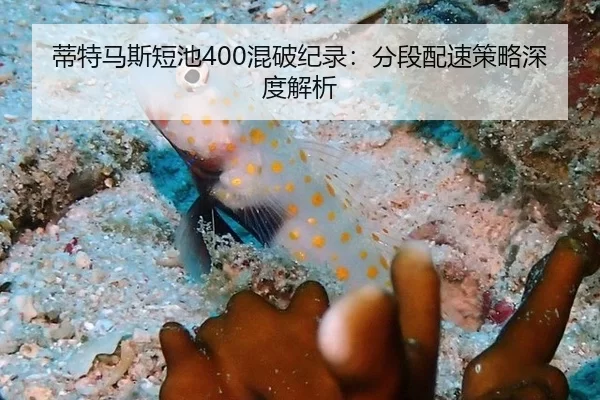 蒂特马斯短池400混破纪录：分段配速策略深度解析